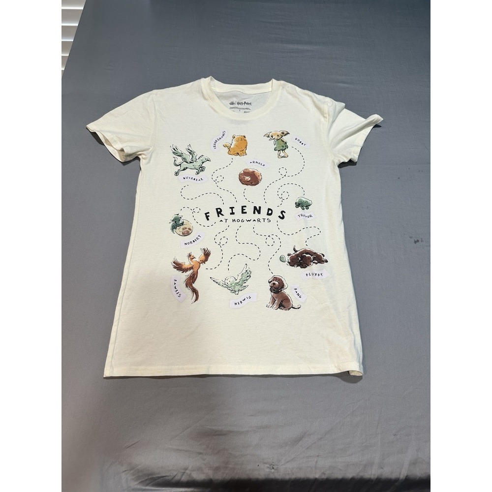 Harry Potter Friends At Hogwarts Graphic Tee S